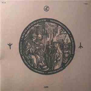 T × R × P // Body Cargo - T × R × P // Body Cargo