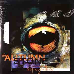 The Autumn Stone - Frogtalk
