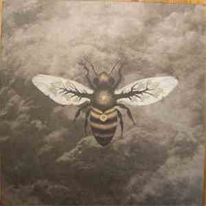 Bees Made Honey In The Vein Tree - Medicine