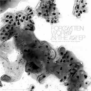 Naoto Taguchi - Forgotten Works In The Air