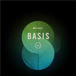 Various - Basis VIII