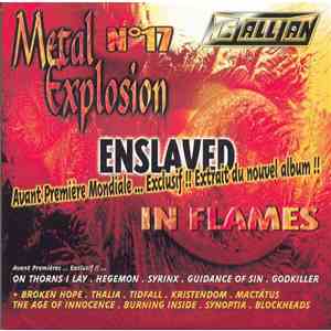 Various - Metallian Sampler N°17