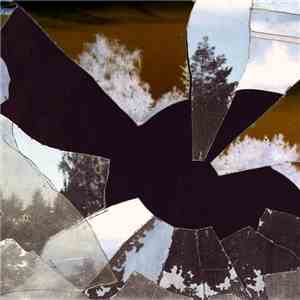 Alan Gleeson - Shards