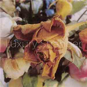 Luxury Stranger - When The Lady Takes The Blame
