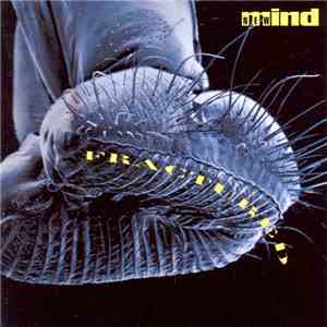 New Mind - Fractured