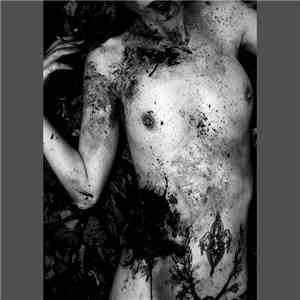 Anorexyneedles - The Collapse Of Chain