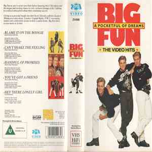 Big Fun - A Pocketful Of Dreams - The Video Hits