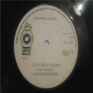 Colm Gallagher - Little Miss Spoons / Morgan's Organ