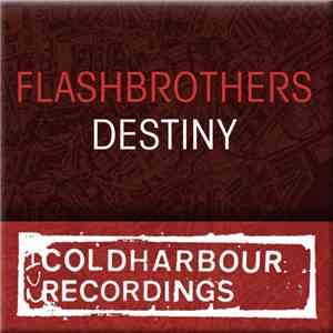 Flashbrothers - Destiny