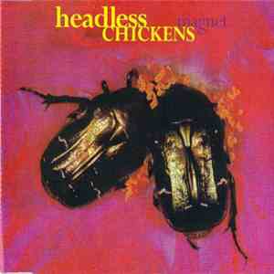 Headless Chickens - Magnet
