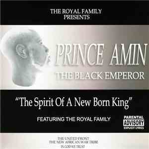 Prince Amin - The Spirit Of A New Born King