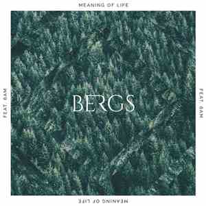 Bergs  Feat 6AM  - Meaning Of Life