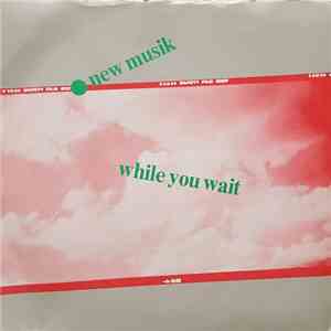 New Musik - While You Wait