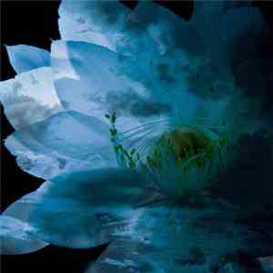 Various - Luna Sea Memorial Cover Album -Re:birth-