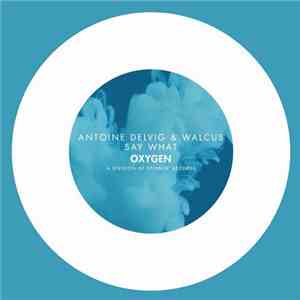 Antoine Delvig & Walcus - Say What
