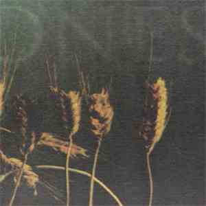 Thrones - Alraune