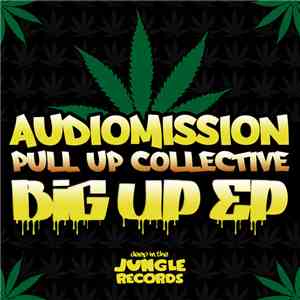 Audiomission, Pull Up Collective - Big Up EP