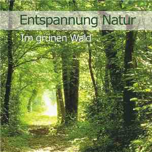 Karl-Heinz Dingler - Entspannung Natur − Im Grünen Wald