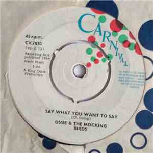 Ossie And The Mocking Birds - Say What You Want To Say