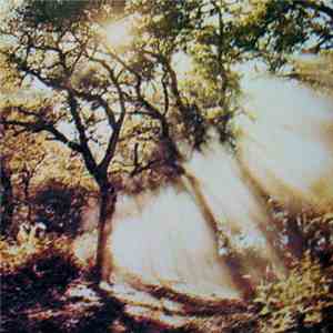 Peter Davison - Music On The Way