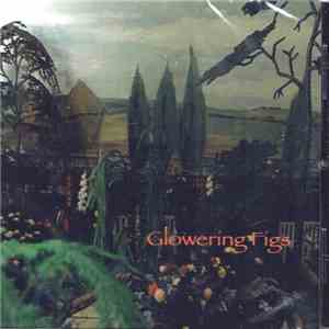 Glowering Figs - Glowering Figs