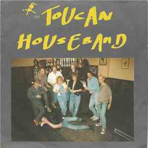 The Toucan Houseband - Crazy Love