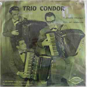 Trio Condor Di Fisarmoniche - Tramonto Africano / Volo Del Calabrone