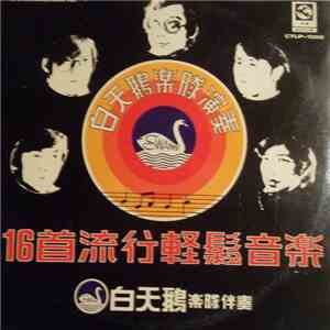 白天鵝樂隊 - 16首流行輕鬆音樂