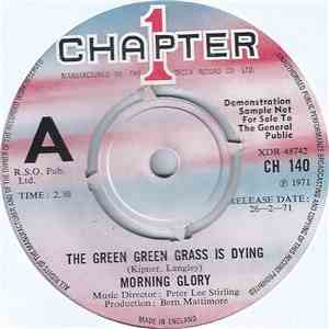 Morning Glory - The Green Green Grass Is Dying
