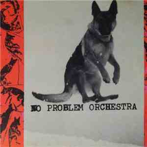 No Problem Orchestra  - Problems