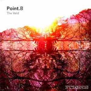 Point B - The Veld