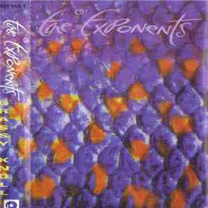 The Exponents - Grassy Knoll