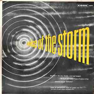 No Artist - Voice Of The Storm
