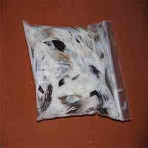 Autoerotic Asphyxiation / Ryan Jewell - Home Made Pigeon