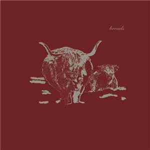 Broads - Omno