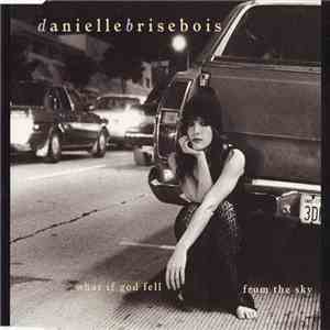 Danielle Brisebois - What If God Fell From The Sky