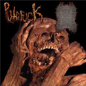 Putrefuck, 55  - Putrefuck / 55 split