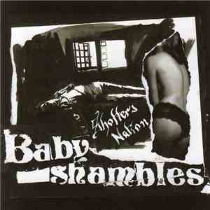 Babyshambles - Shotters Nation