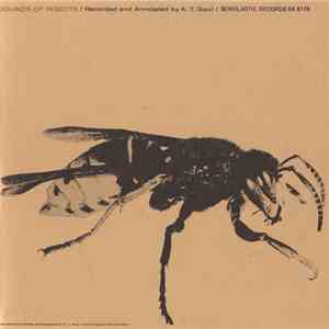 A. T. Gaul - Sounds Of Insects