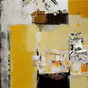 Ani DiFranco - Ridgefield Connecticut November 18 2009