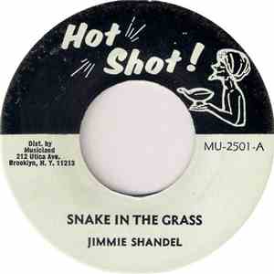 Jimmie Shandel - Snake In The Grass