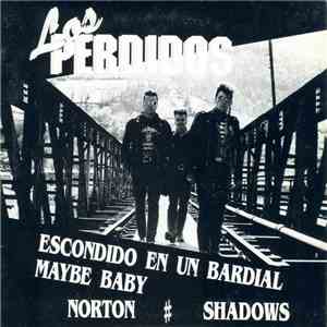 Los Perdidos - Perdido en un bardial