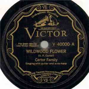 The Carter Family - Wildwood Flower / Forsaken Love
