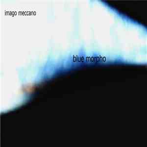 Imago Meccano - Blue Morpho