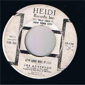 Joe Anderson  - How Long Will It Last
