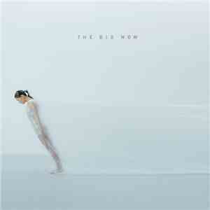 Little Ashes and Robot Koch - The Big Now