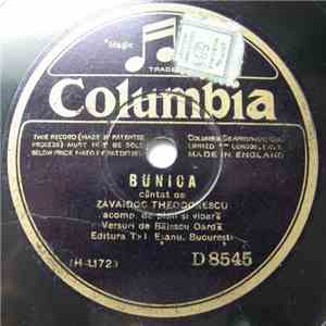 Zavaidoc Theodorescu - Bunica / Chrisantemelor
