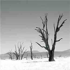 Beastlor - This Forest For Which We Have Killed