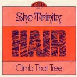 She Trinity - Hair