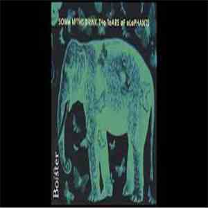Boister - Some Moths Drink The Tears Of Elephants